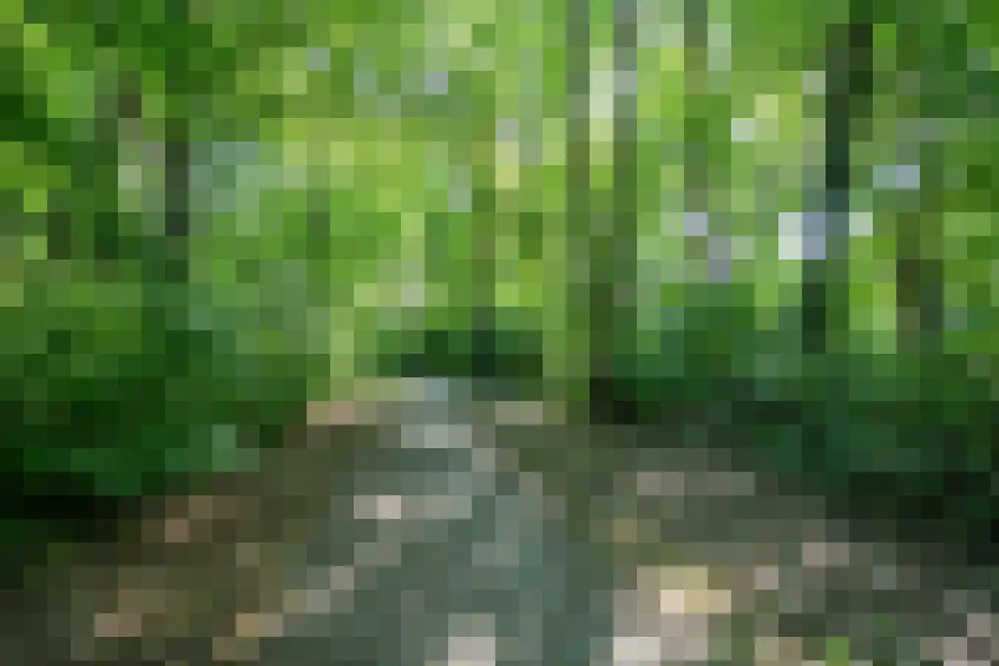 Waterloolaan 1 3 Groningen thumbnail 24