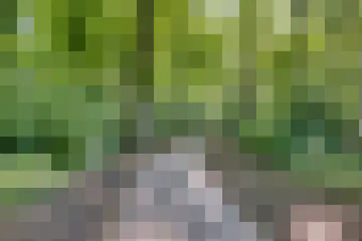Waterloolaan 1 39 Groningen thumbnail 30