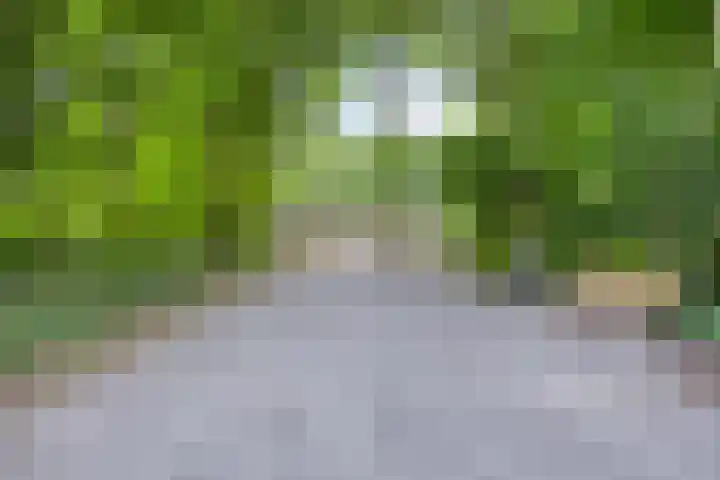 Waterloolaan 1 39 Groningen thumbnail 31