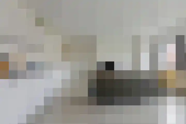 Waterloolaan 1 42 Groningen thumbnail 17