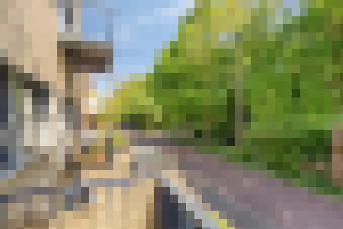 Waterloolaan 1 44 Groningen thumbnail 22