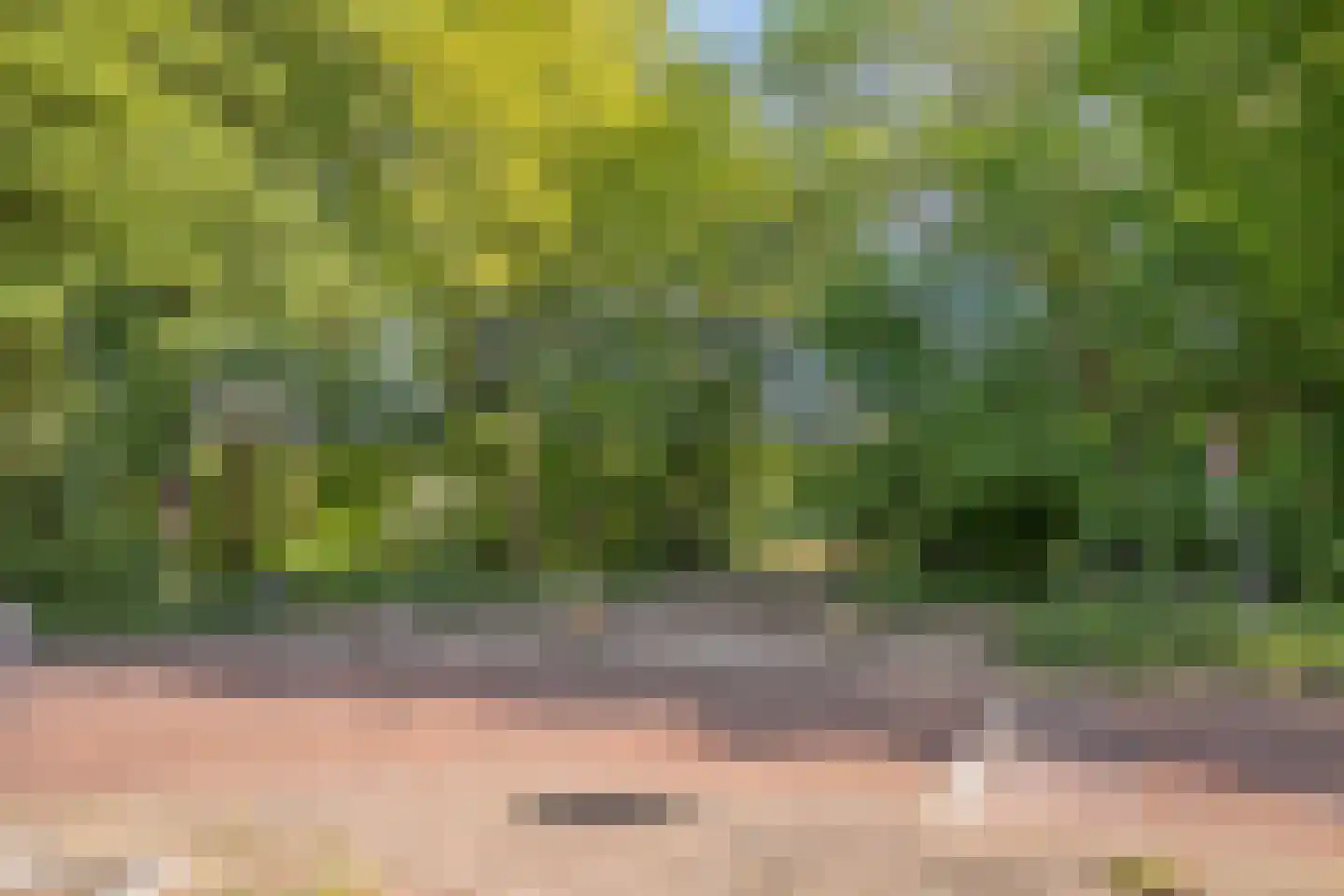 Waterloolaan 1 44 Groningen thumbnail 32
