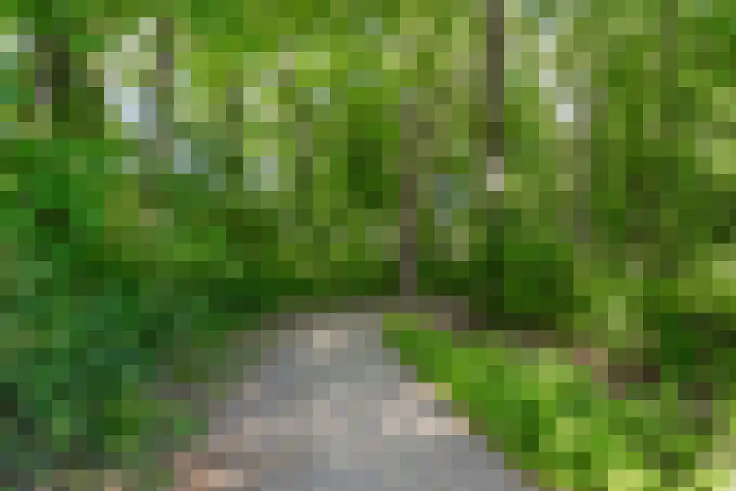 Waterloolaan 1 44 Groningen thumbnail 37