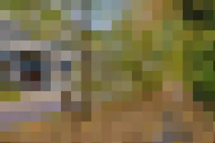 Waterloolaan 1 47 Groningen thumbnail 26