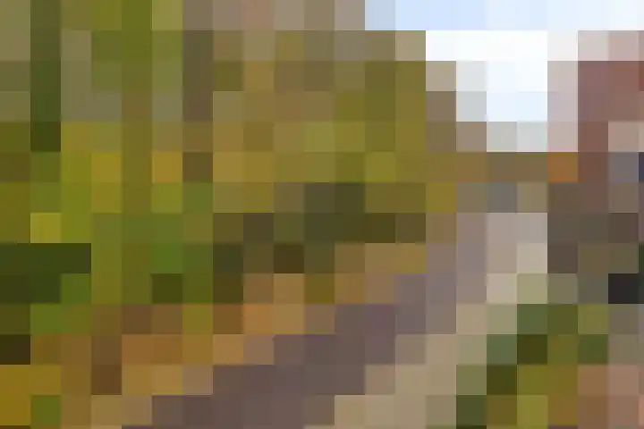 Waterloolaan 1 47 Groningen thumbnail 30
