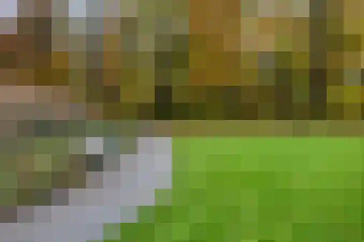 Waterloolaan 1 47 Groningen thumbnail 31