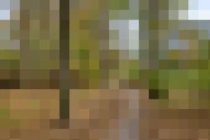 Waterloolaan 1 47 Groningen thumbnail 32