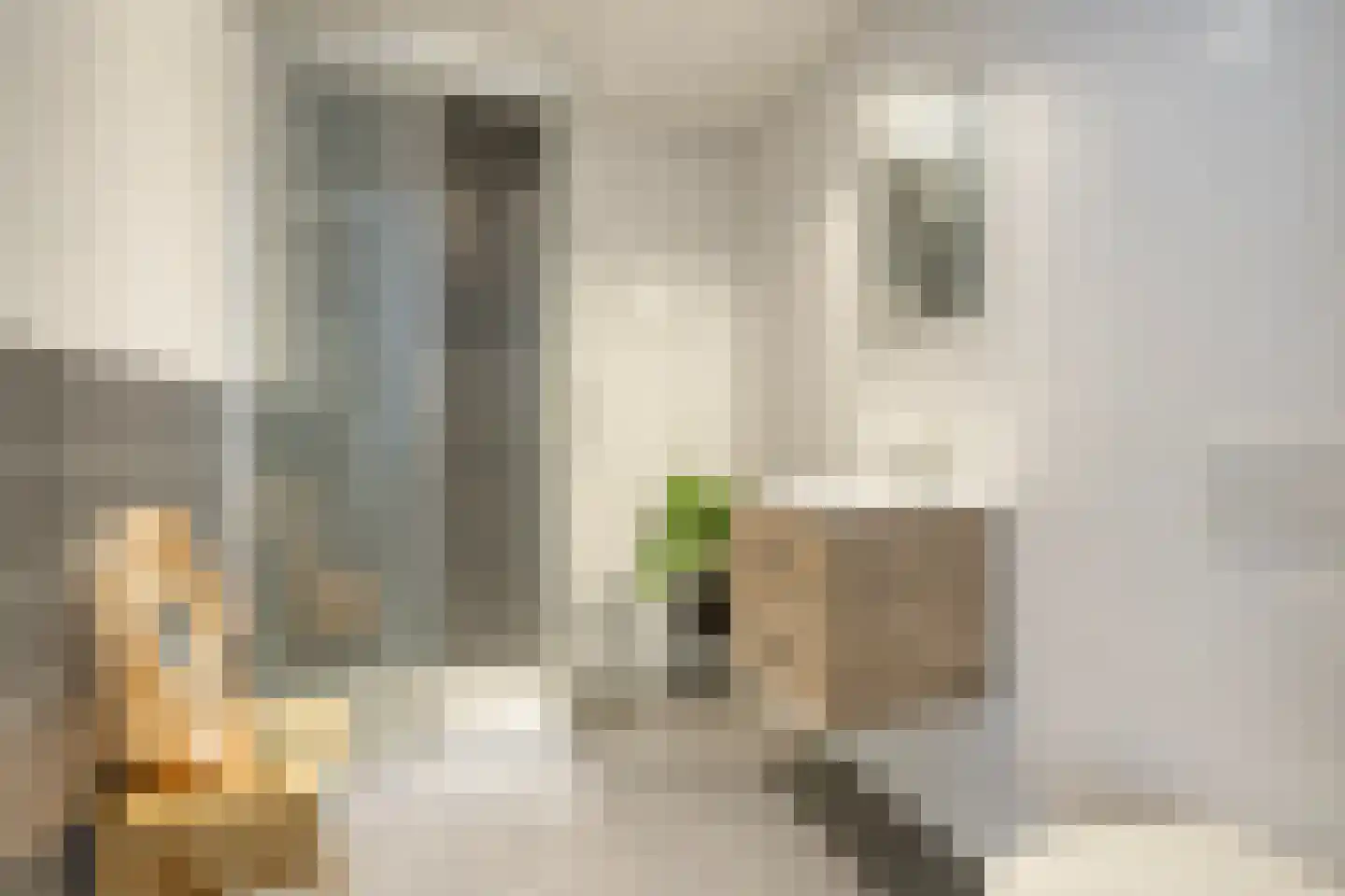 Waterloolaan 1 48 Groningen thumbnail 10