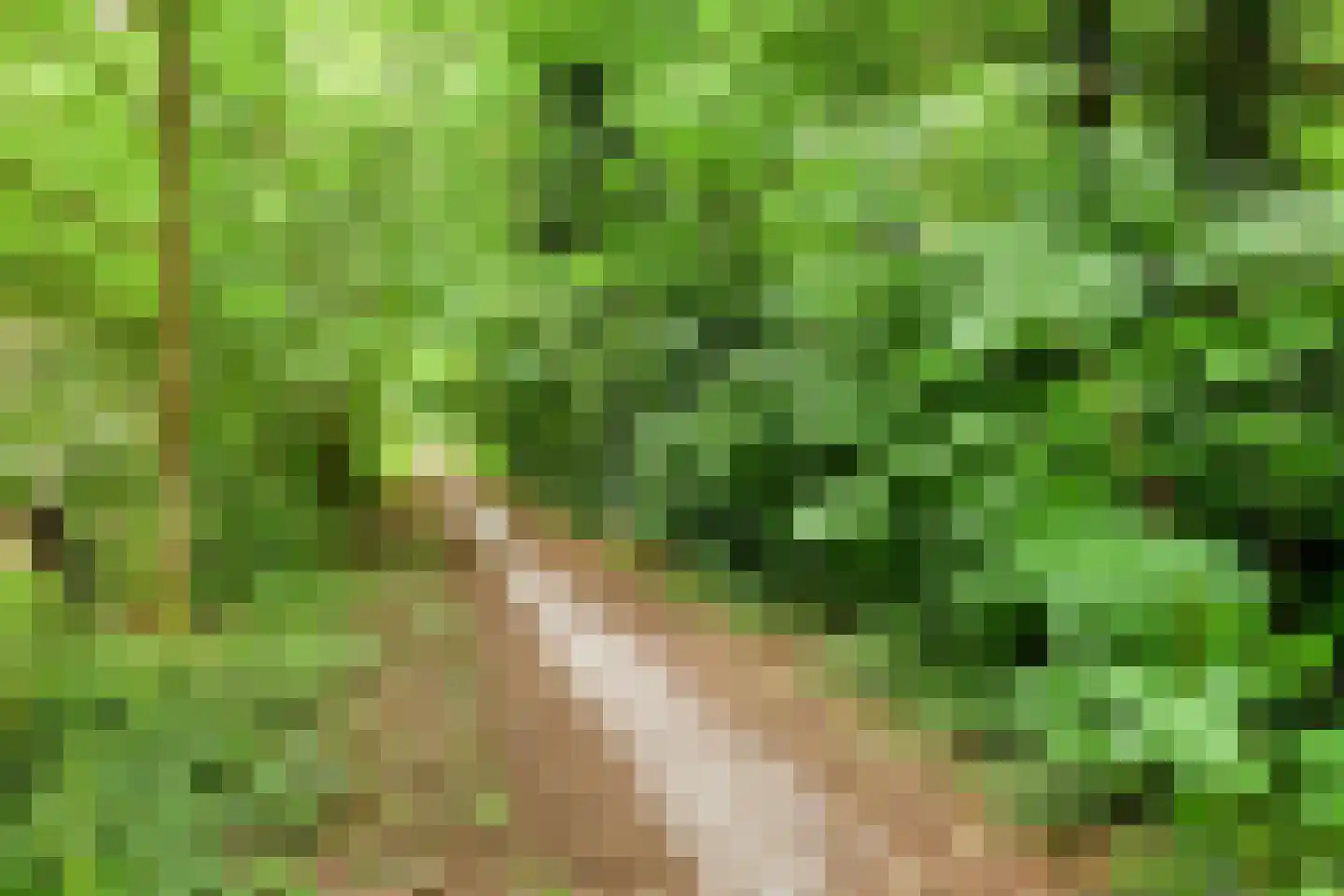Waterloolaan 1 48 Groningen thumbnail 19