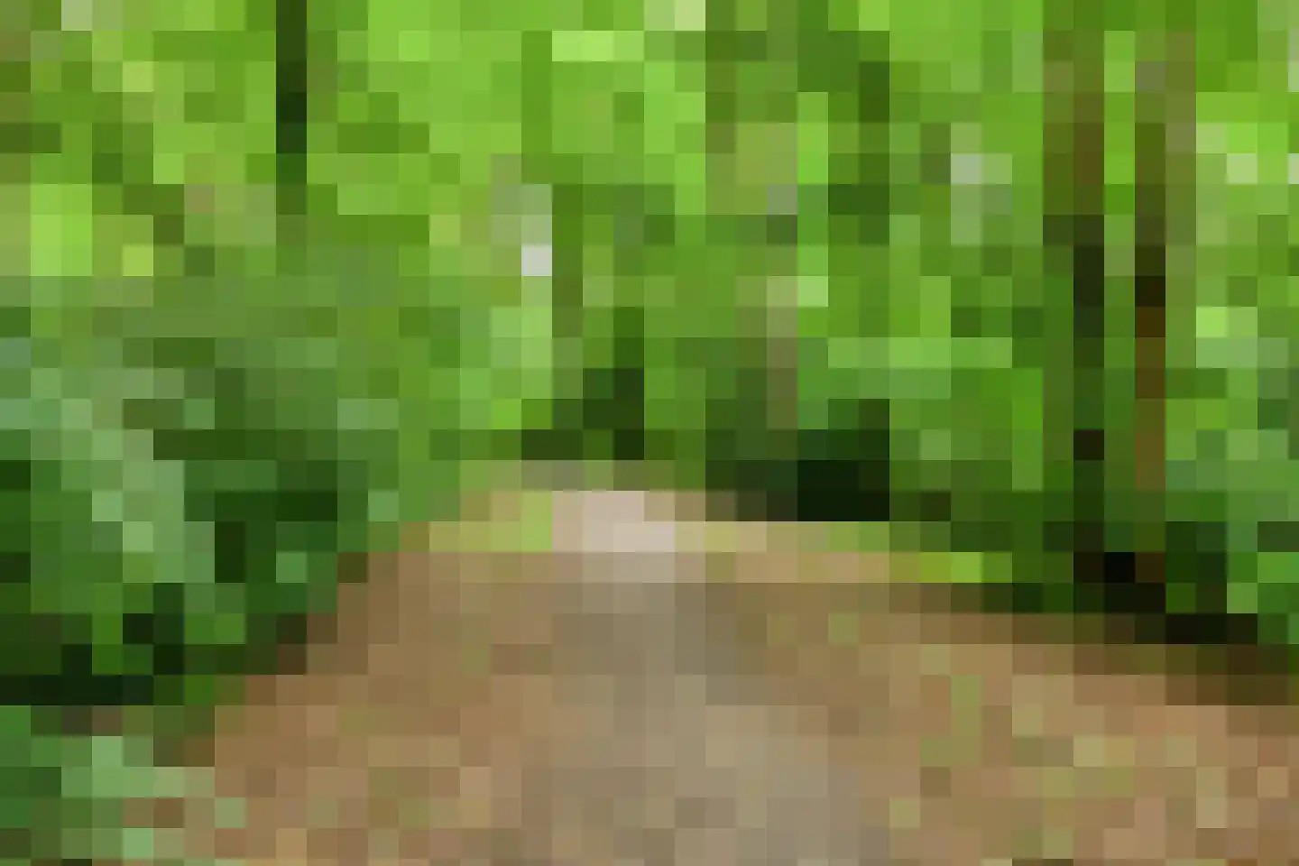 Waterloolaan 1 48 Groningen thumbnail 20
