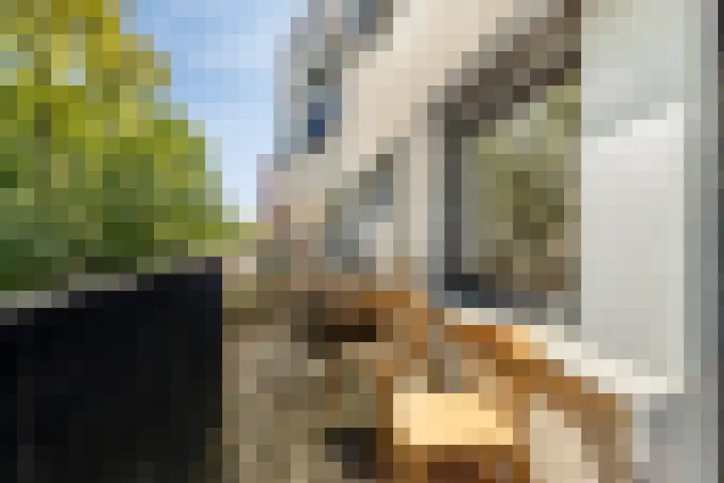 Waterloolaan 1 48 Groningen thumbnail 4