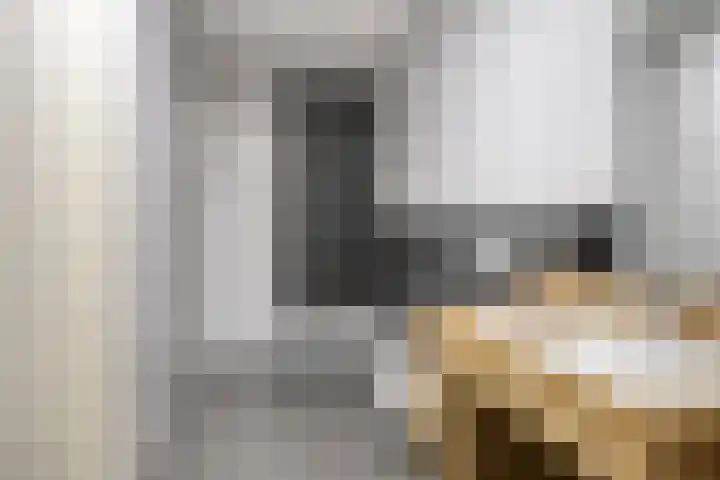 Waterloolaan 1 51 Groningen thumbnail 19
