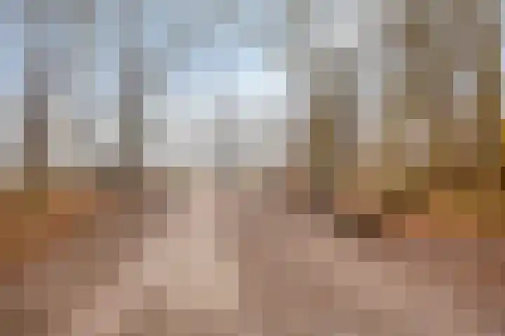 Waterloolaan 1 51 Groningen thumbnail 36