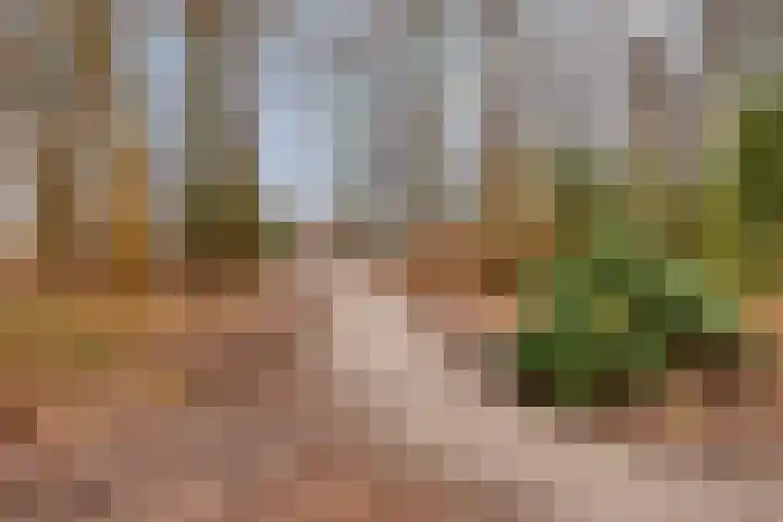 Waterloolaan 1 51 Groningen thumbnail 37