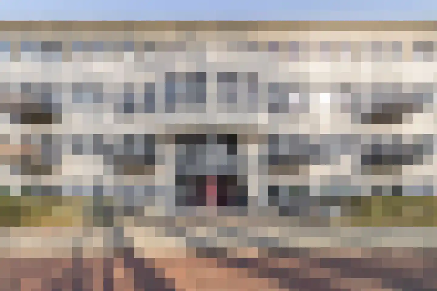 Waterloolaan 1 57 Groningen thumbnail 31
