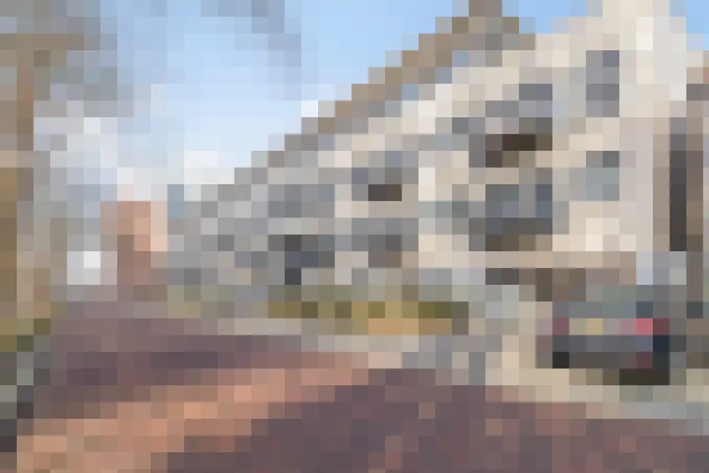 Waterloolaan 1 57 Groningen thumbnail 33