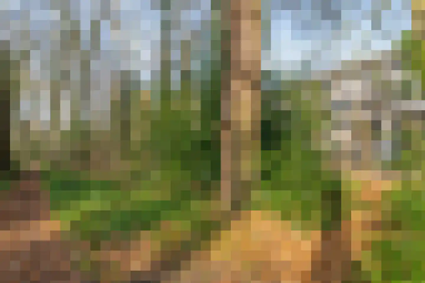 Waterloolaan 1 57 Groningen thumbnail 37