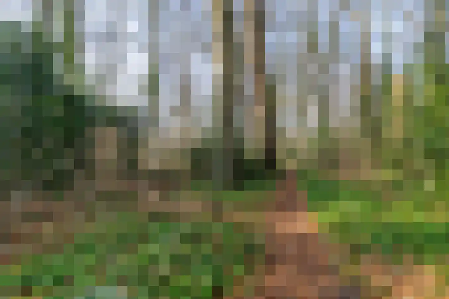 Waterloolaan 1 57 Groningen thumbnail 38