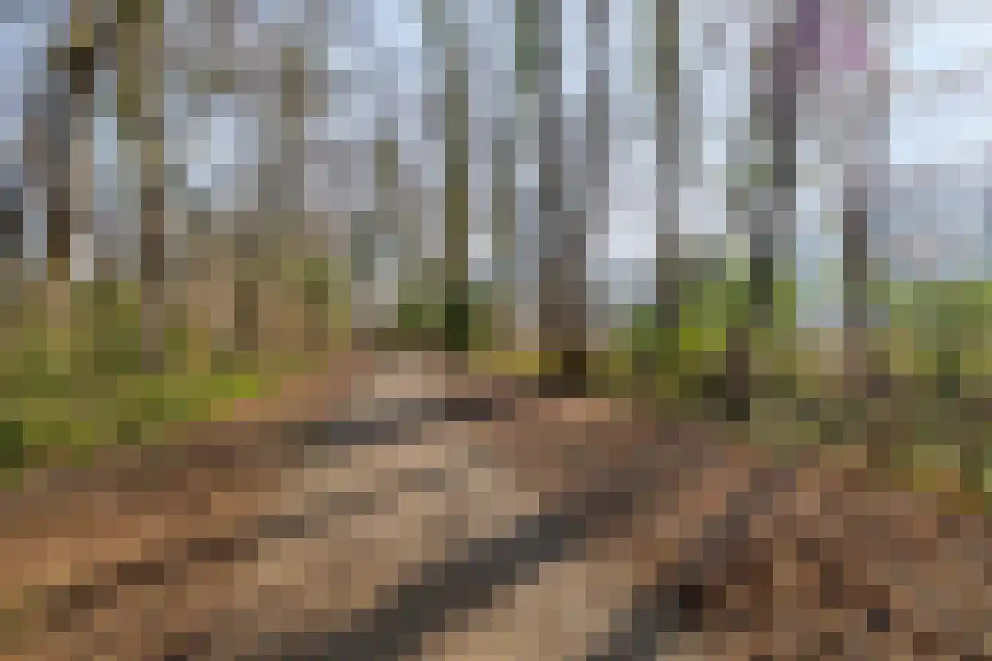 Waterloolaan 1 57 Groningen thumbnail 39