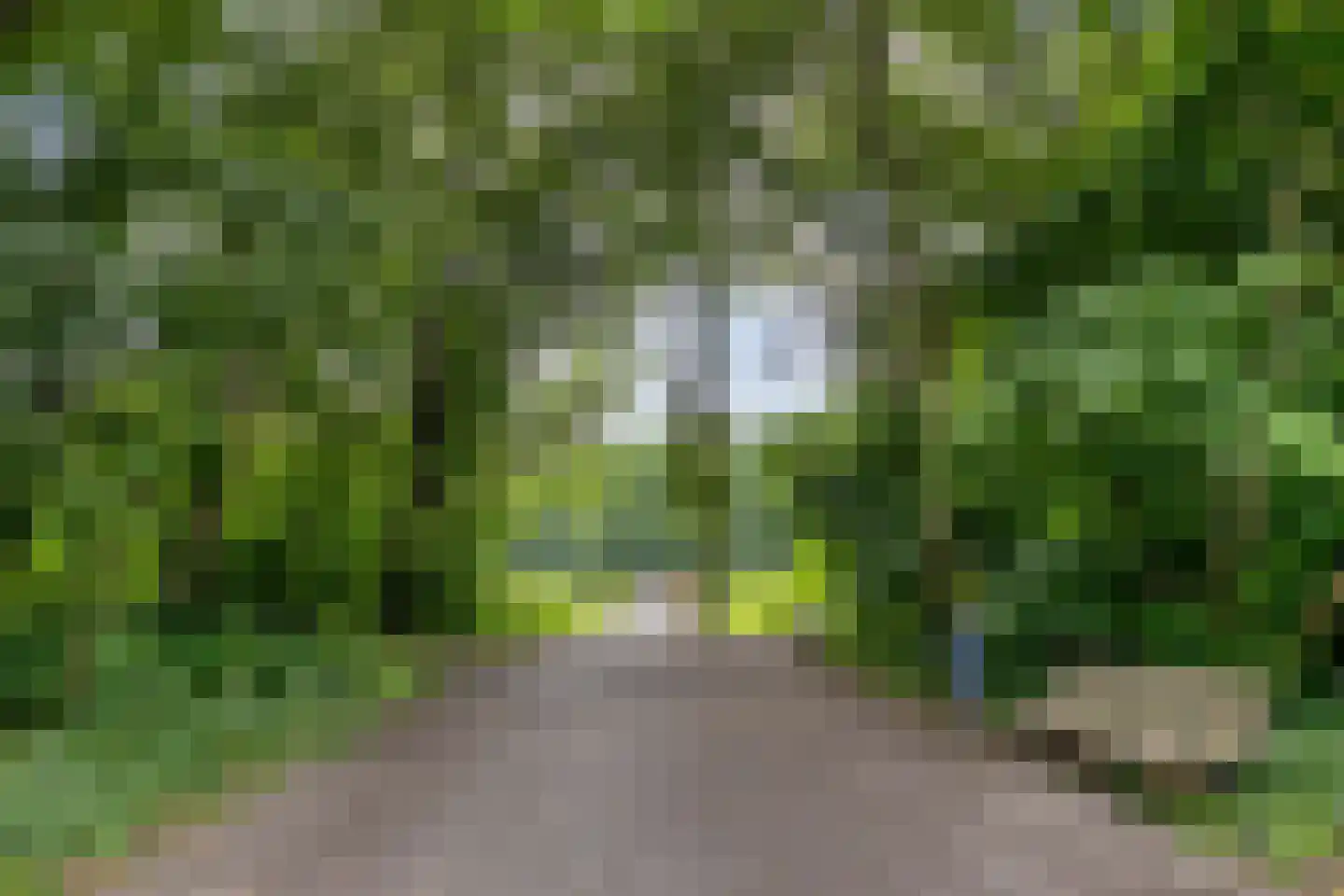 Waterloolaan 1 60 Groningen thumbnail 26