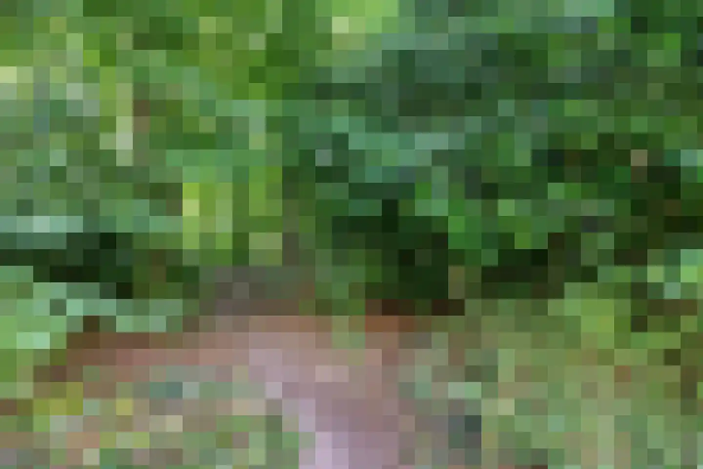 Waterloolaan 1 7 Groningen thumbnail 27