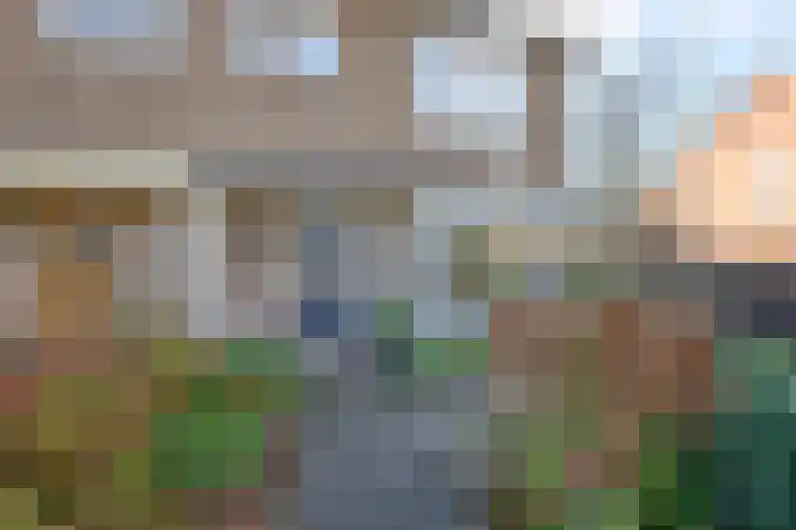 Waterloolaan 18 Driehuis NH thumbnail 11
