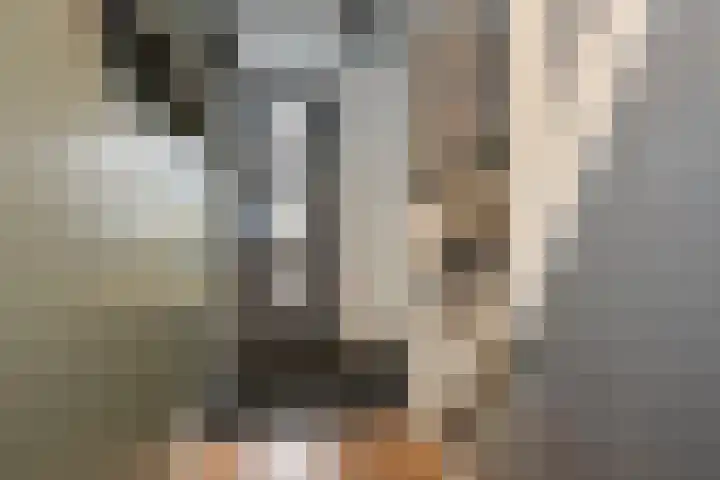 Waterloolaan 18 Driehuis NH thumbnail 13