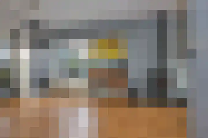 Waterloolaan 18 Driehuis NH thumbnail 17