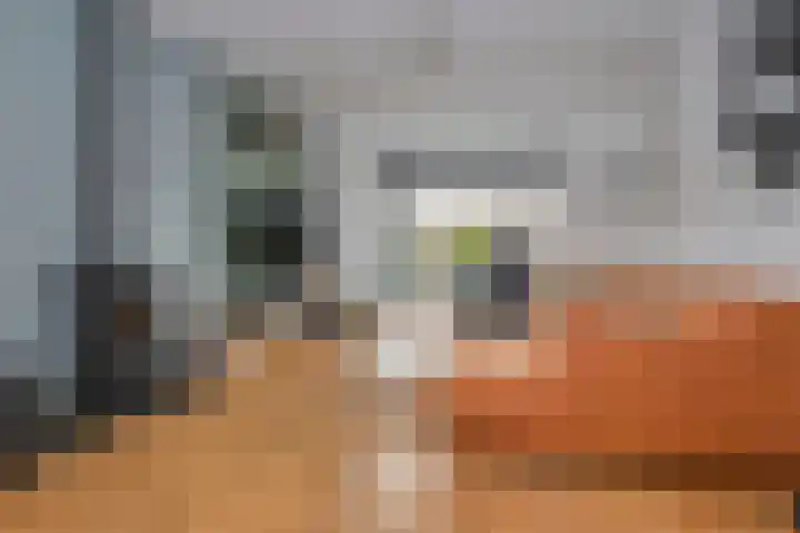 Waterloolaan 18 Driehuis NH thumbnail 18