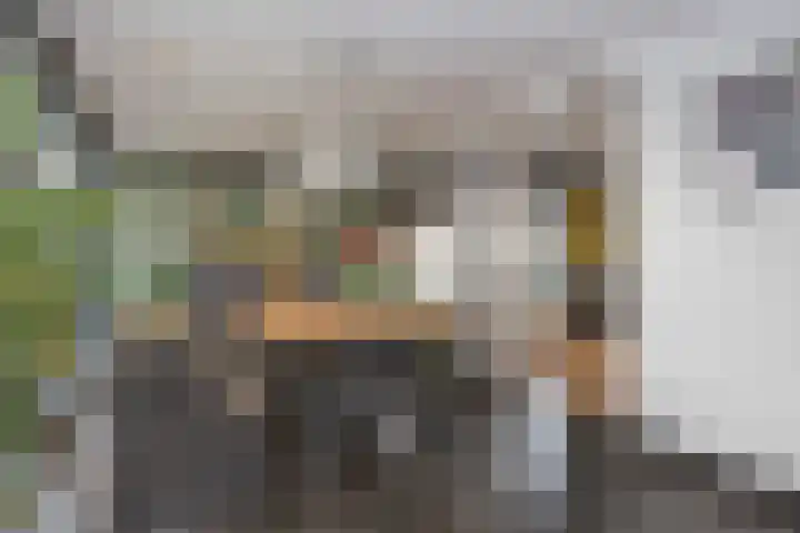 Waterloolaan 18 Driehuis NH thumbnail 22