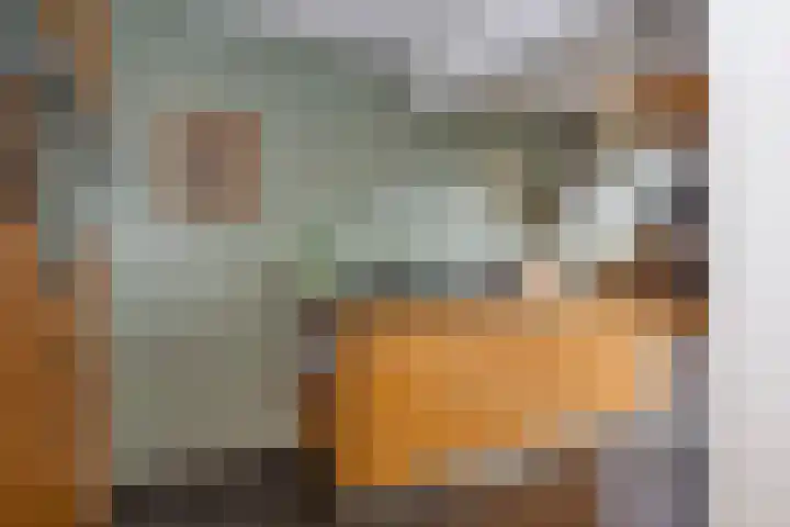 Waterloolaan 18 Driehuis NH thumbnail 24