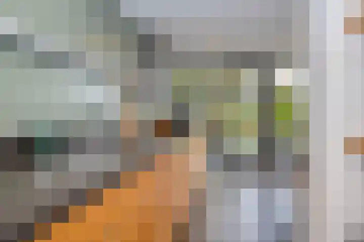 Waterloolaan 18 Driehuis NH thumbnail 25