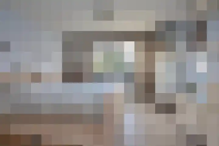 Waterloolaan 18 Driehuis NH thumbnail 30