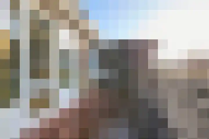 Waterloolaan 18 Driehuis NH thumbnail 34