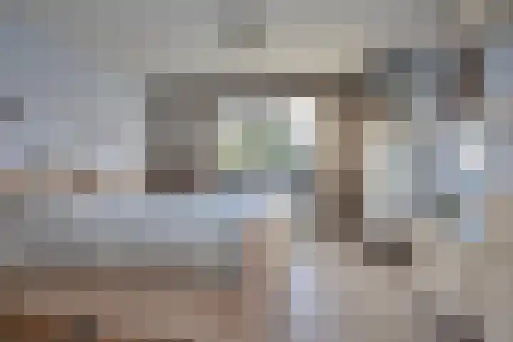 Waterloolaan 18 Driehuis NH thumbnail 5
