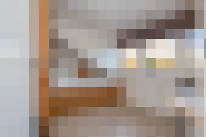 Waterloolaan 18 Driehuis NH thumbnail 52