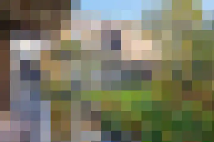Waterloolaan 18 Driehuis NH thumbnail 6