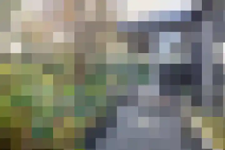Waterloolaan 18 Driehuis NH thumbnail 63