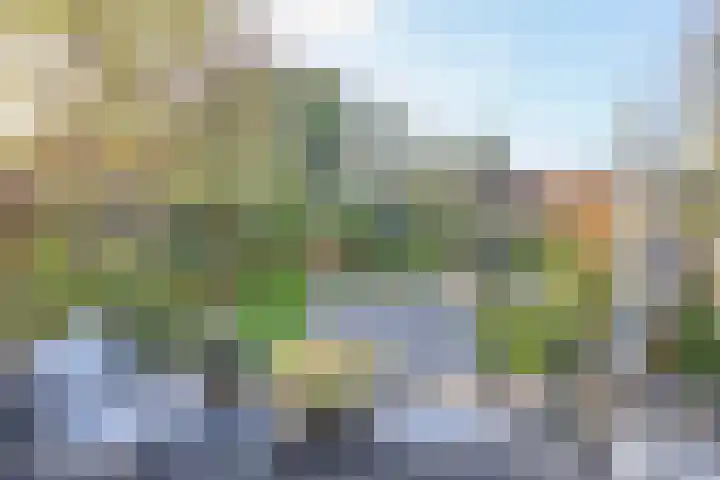 Waterloolaan 18 Driehuis NH thumbnail 64