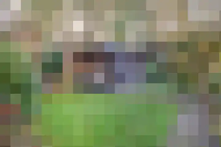 Waterloolaan 18 Driehuis NH thumbnail 66
