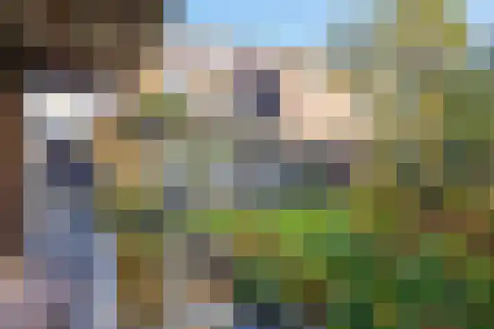 Waterloolaan 18 Driehuis NH thumbnail 68