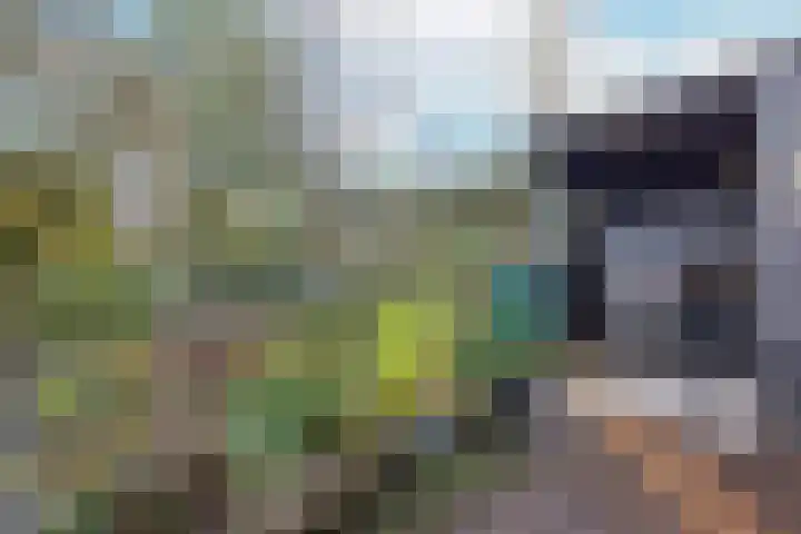 Waterloolaan 18 Driehuis NH thumbnail 69