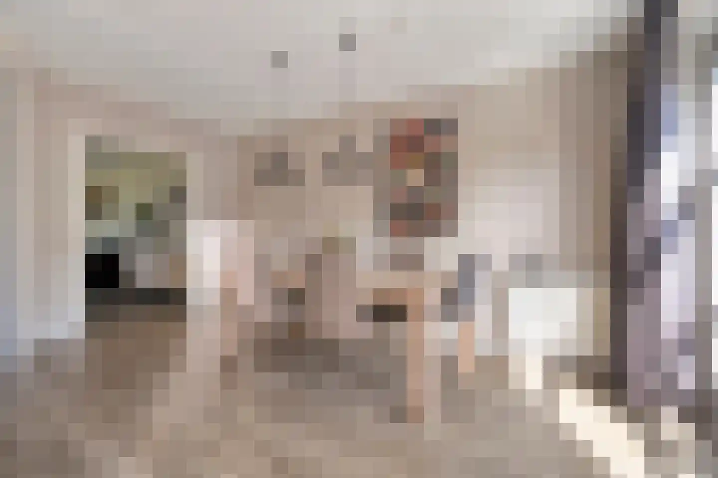 Waterloop 39 Wierden thumbnail 12
