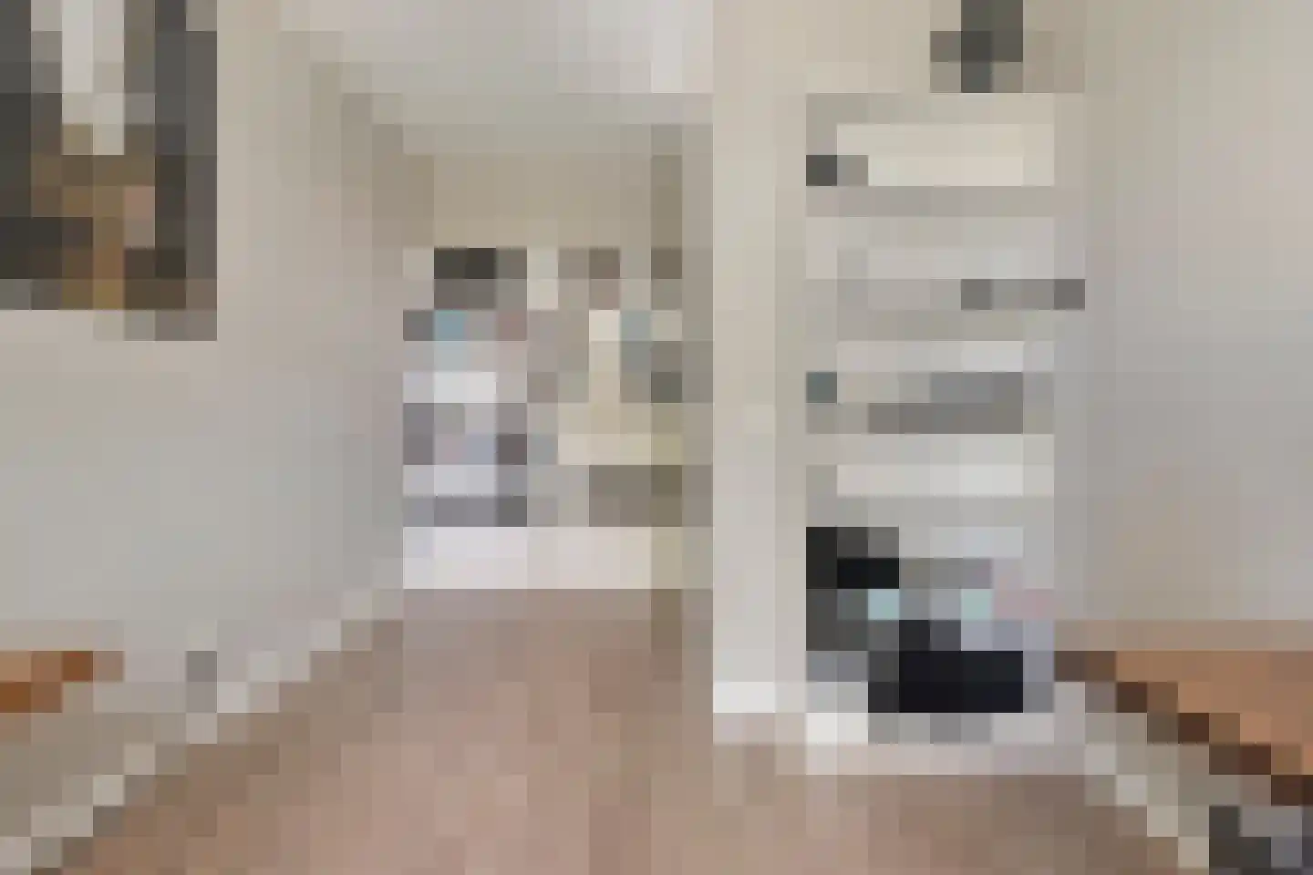 Waterloop 39 Wierden thumbnail 26