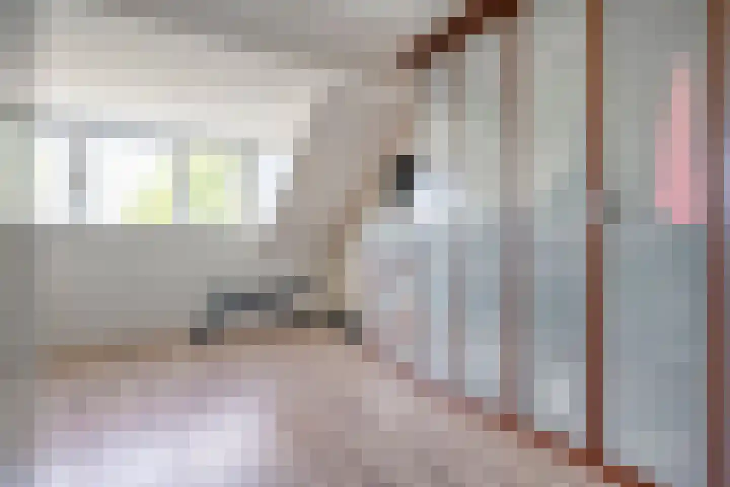 Waterloop 39 Wierden thumbnail 32