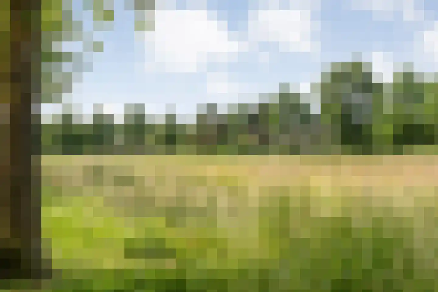 Waterloop 39 Wierden thumbnail 41