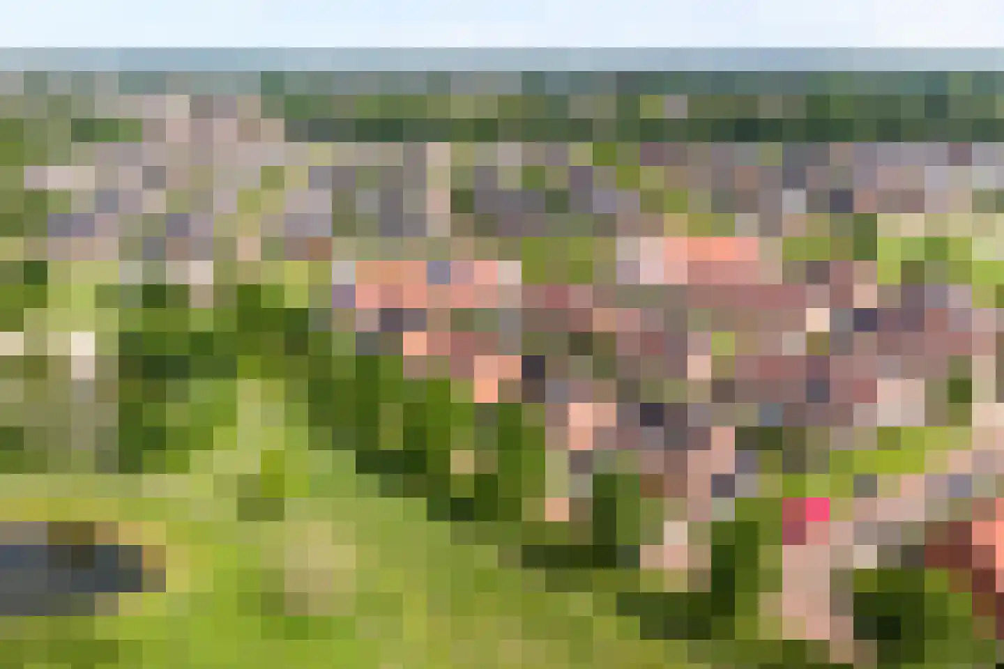 Waterloop 39 Wierden thumbnail 44