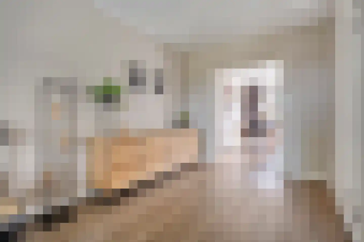 Waterloop 39 Wierden thumbnail 8