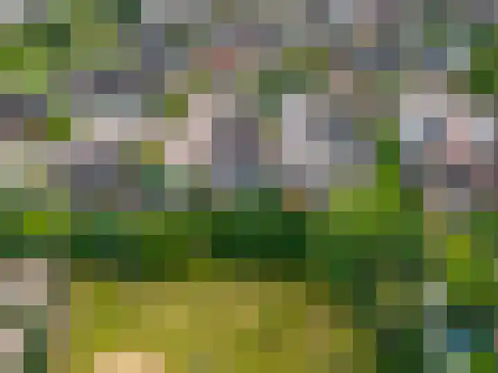 Waterloop 40 Delft thumbnail 10