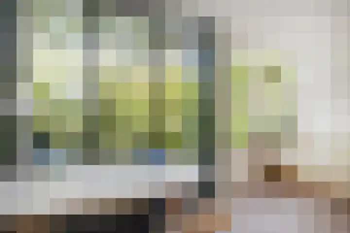 Waterloop 40 Delft thumbnail 13